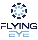 Flying Eye Logo Flying Eye